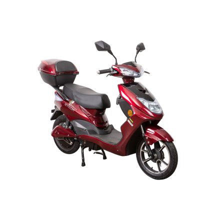 z-tech warrior - 25km/h
