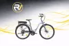 WILDTRAK EC200 E-CITY EU PLUG  17"