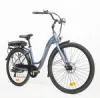 WILDTRAK EC200 E-CITY EU PLUG  17"