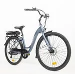 WILDTRAK EC200 E-CITY EU PLUG  17"