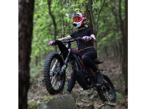 SUR-RON Light Bee S Elektromos Gyerekmotor - Több szín