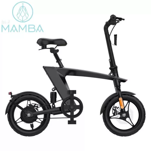 Mamba ONI