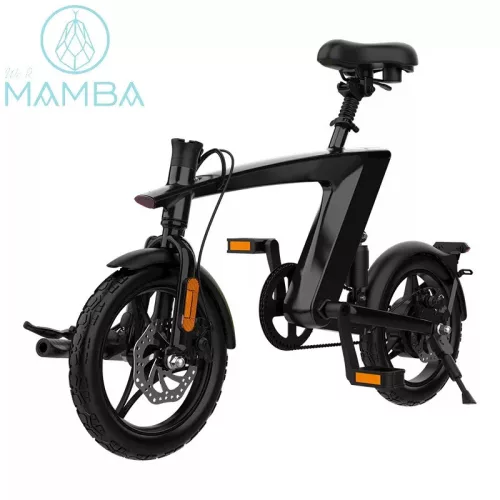 Mamba ONI